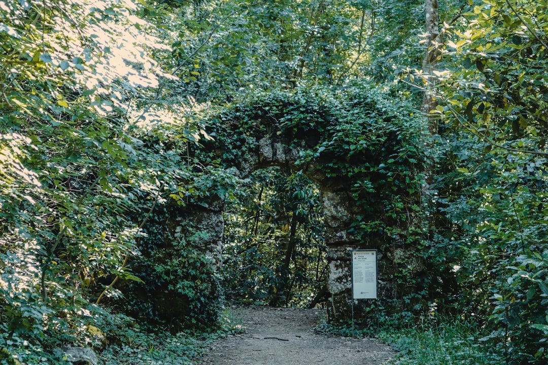 Slot Dana DV188: Panduan Lengkap dan Menguntungkan