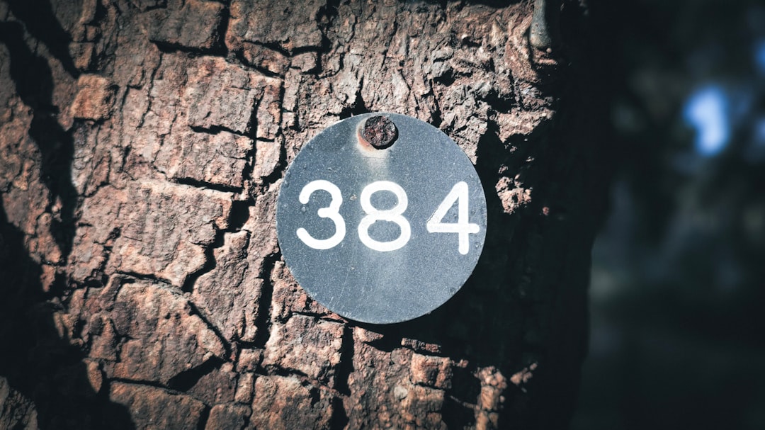 Slot Dana DV188: Panduan Lengkap dan Keuntungan Bermain